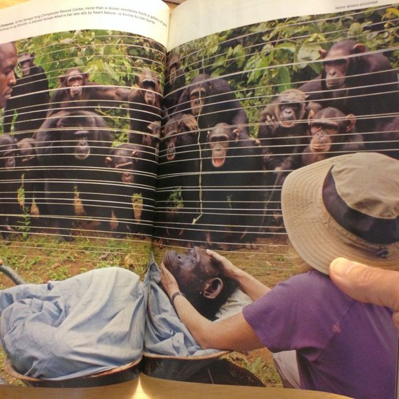 National Geographic Magazine, Egypt's Animal Mummies, etc. - Picture 5 of 10